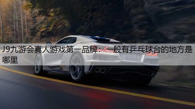 J9九游會真人游戲第一品牌：一般有乒乓球臺的地方是哪里