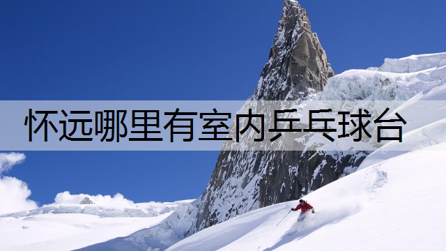 懷遠哪里有室內乒乓球臺