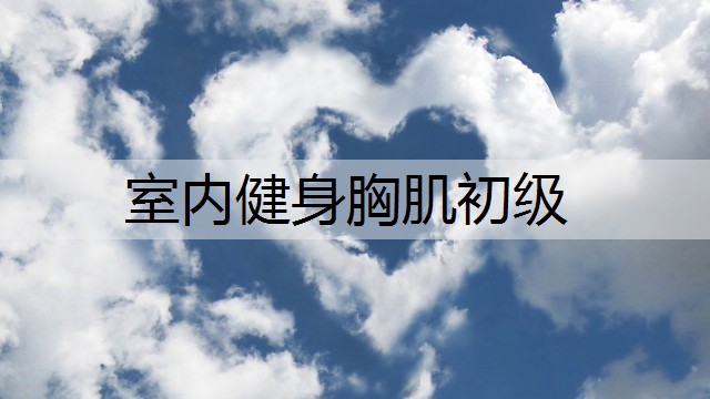 室內健身胸肌初級