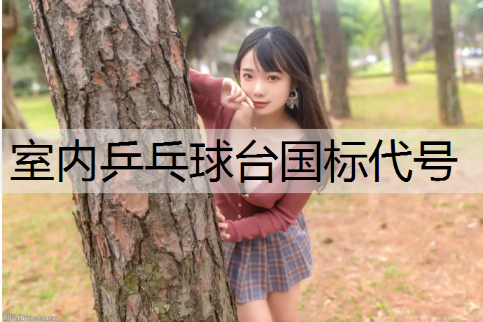 室內乒乓球臺國標代號