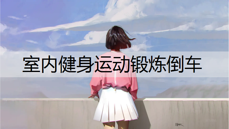 室內健身運動鍛煉倒車