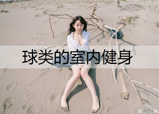 球類的室內健身