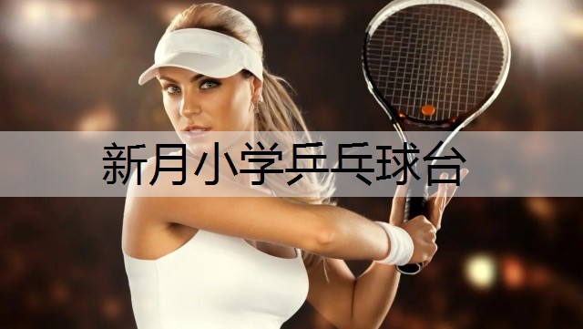 新月小學(xué)乒乓球臺