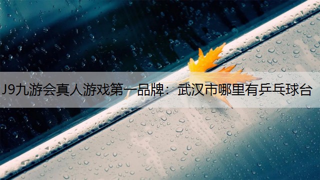 武漢市哪里有乒乓球臺