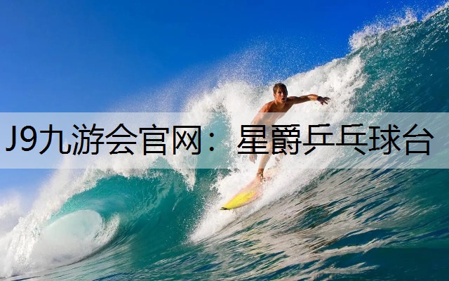 星爵乒乓球臺
