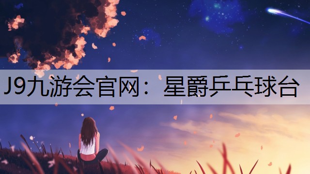 星爵乒乓球臺