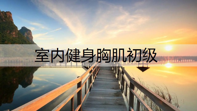 室內健身胸肌初級