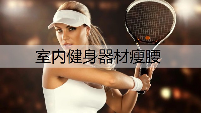 室內(nèi)健身器材瘦腰 室內(nèi)健身器材瘦腰