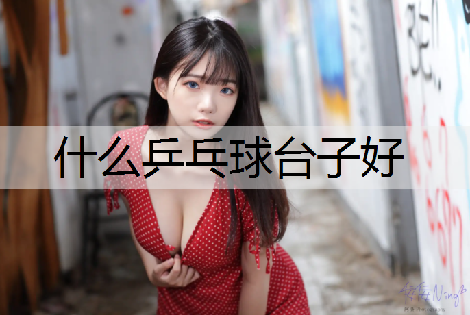 什么乒乓球臺子好