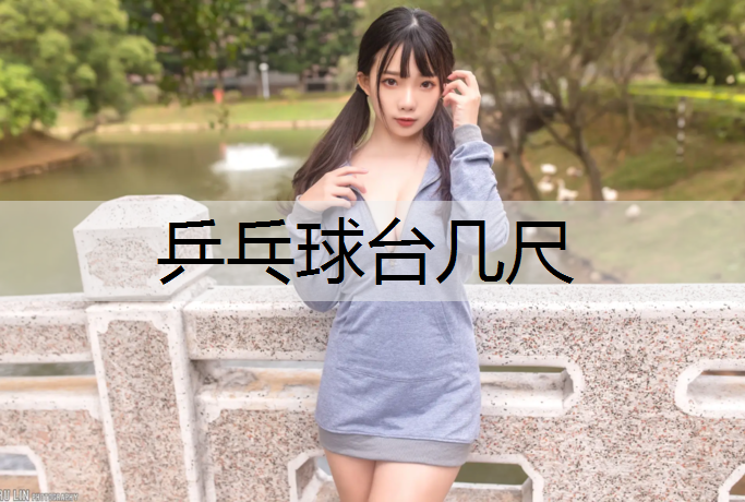 乒乓球臺幾尺