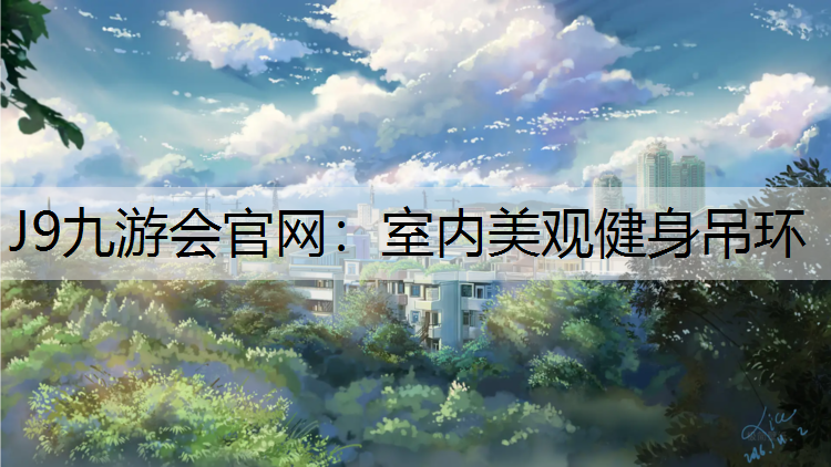 室內美觀健身吊環