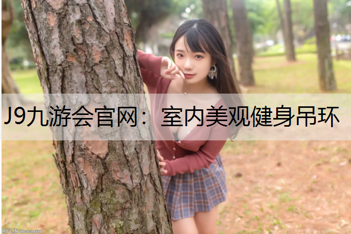 室內美觀健身吊環