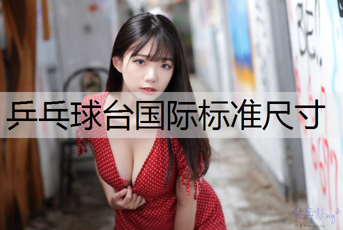 乒乓球臺國際標準尺寸