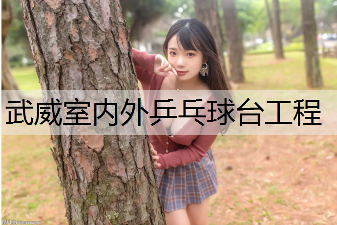 武威室內外乒乓球臺工程