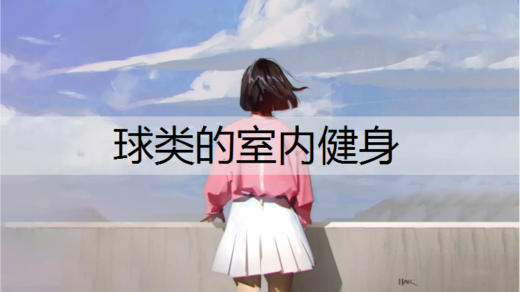 球類的室內健身
