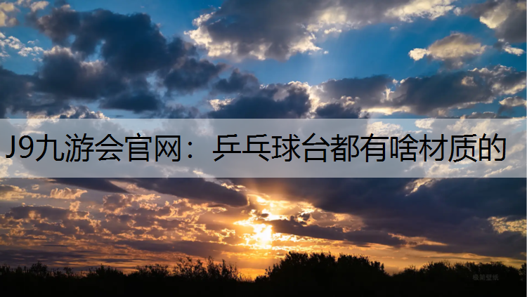 乒乓球臺都有啥材質的
